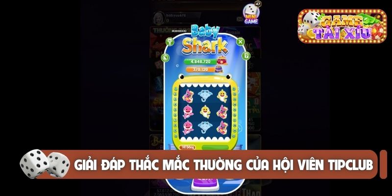 Giải đáp thắc mắc thường của hội viên Tipclub